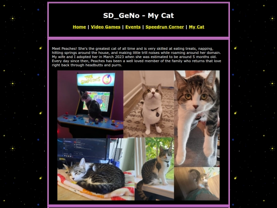 my-cat screenshot