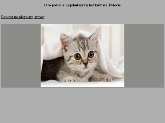 podstrona39 screenshot