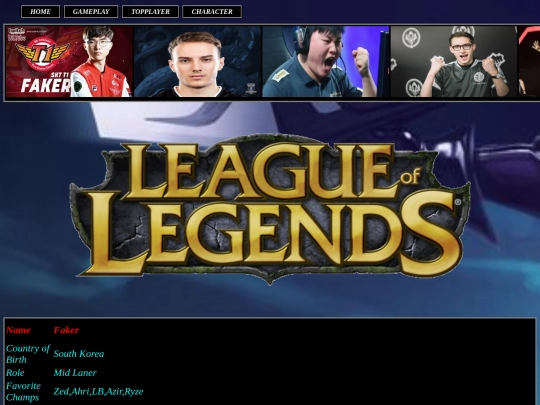 topplayer screenshot
