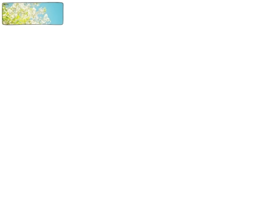svgs/toast screenshot