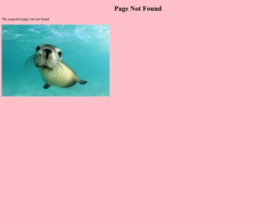 not_found screenshot