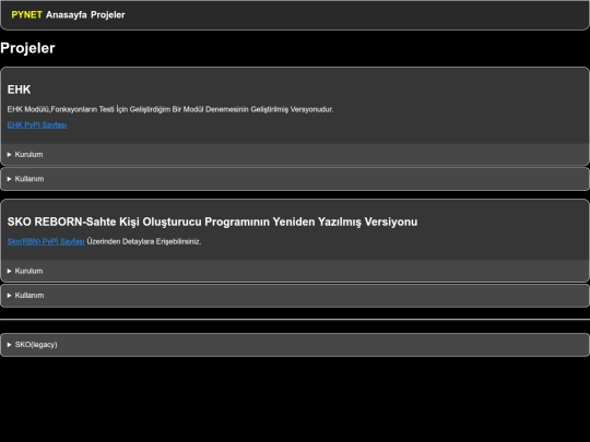 projeler/projeler screenshot