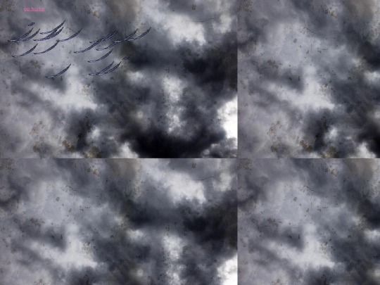 feathers screenshot