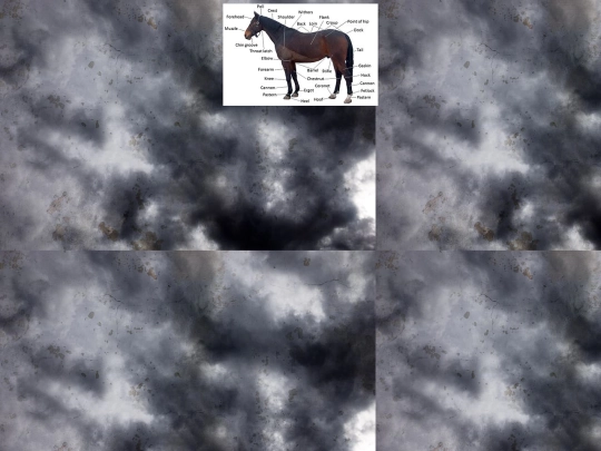 h/h2 screenshot