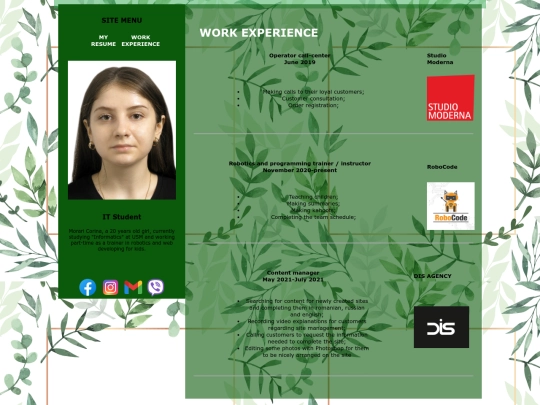 projects screenshot