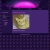 Homepage ~ Ebadoodles avatar