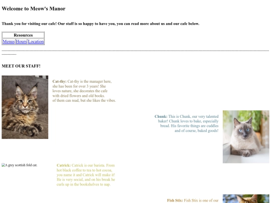 staffpage-TheCATfe screenshot