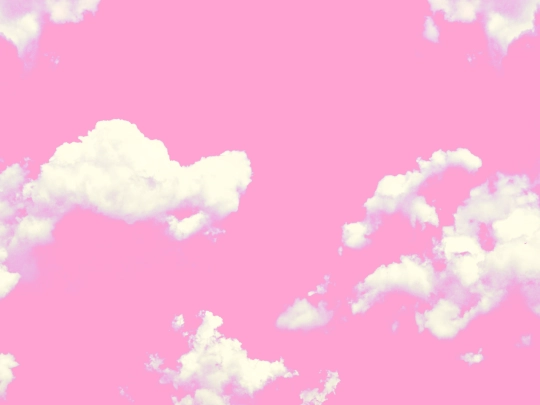 rost screenshot