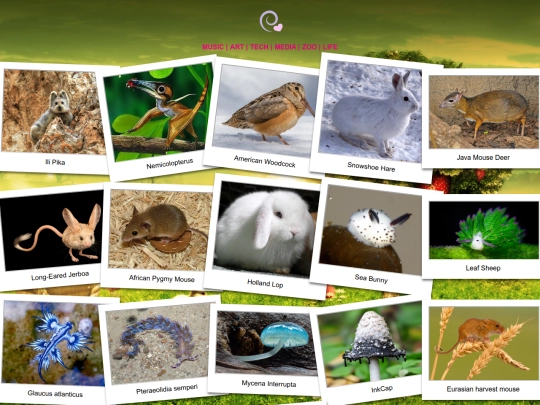 zoo screenshot