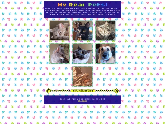 irlpets screenshot