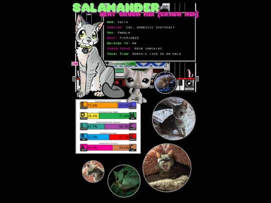 irlpets/sally screenshot
