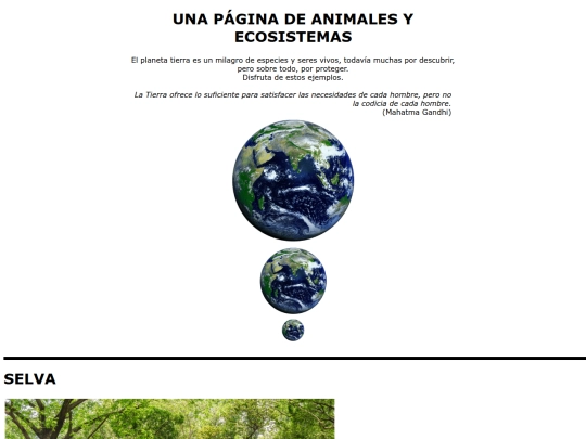 Práctica 5/Practica5 screenshot