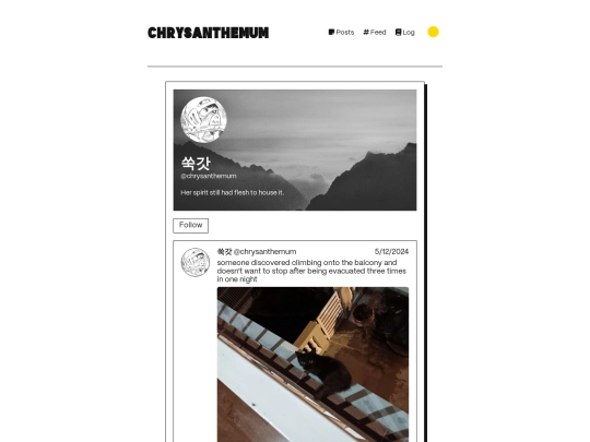 feed screenshot