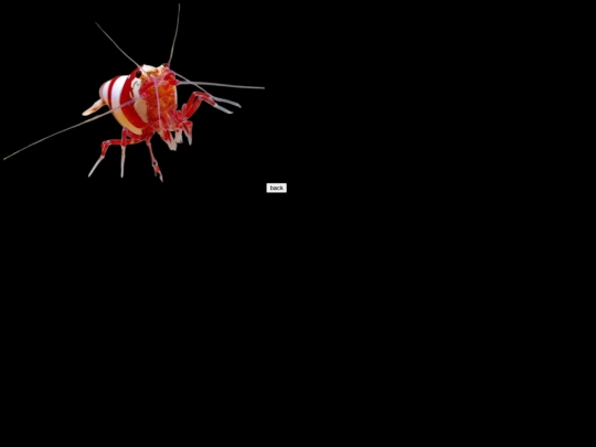 TEST/test screenshot