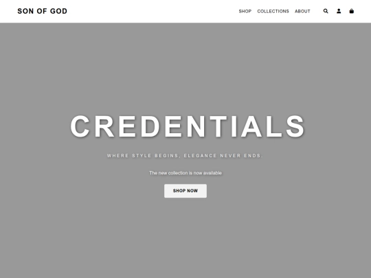 ecom screenshot