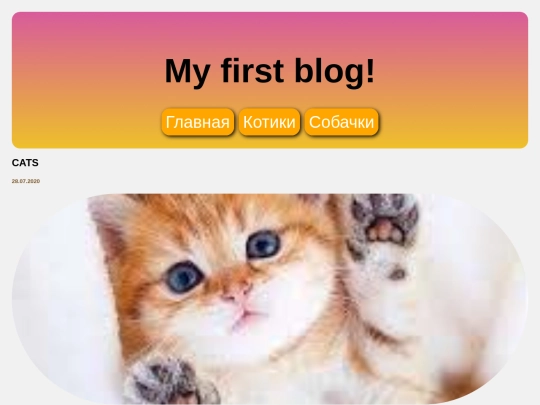 cat screenshot