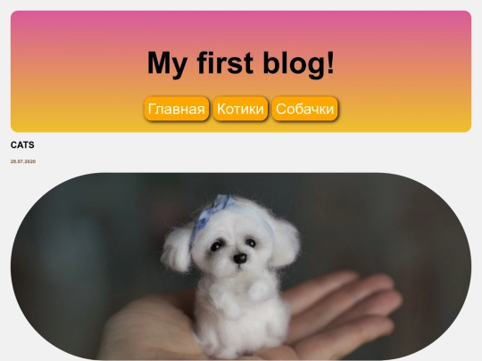 dog screenshot