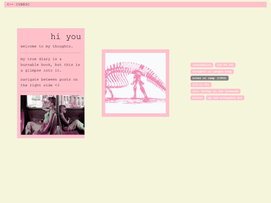 diary screenshot