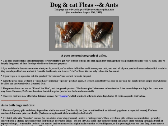 fleas screenshot