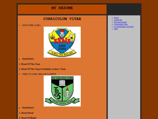 Curriculum Vitae screenshot