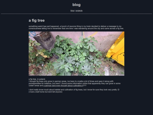 blogposts/fig/figpost screenshot