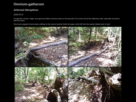 Omnium-gatherum/2025-10-14 screenshot