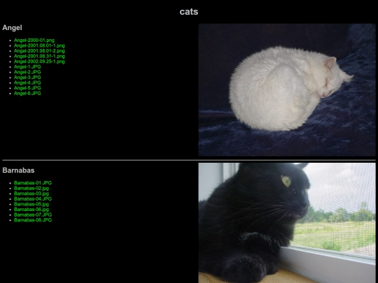 cats screenshot