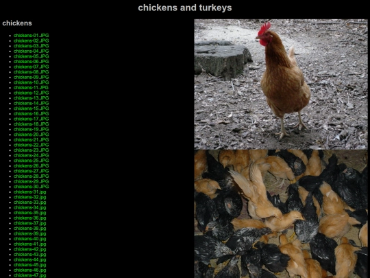 chickensandturkeys screenshot