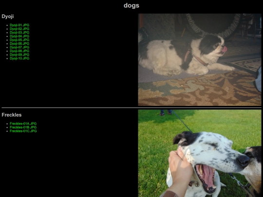 dogs screenshot