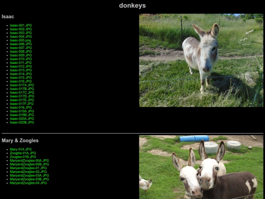 donkeys screenshot