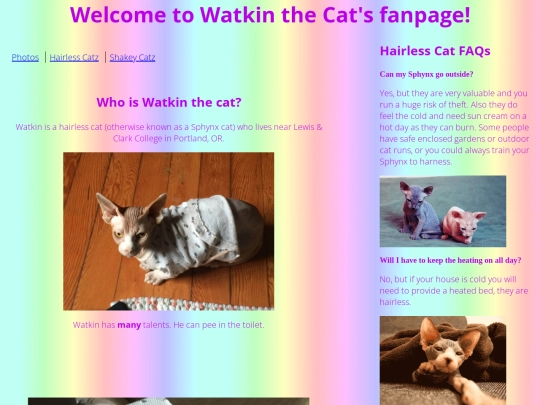responsive screenshot
