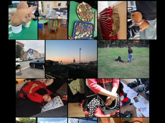 photo screenshot