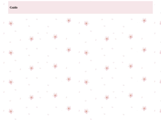 guide screenshot