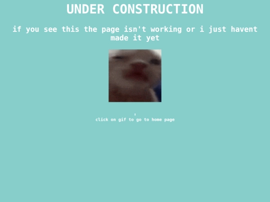 not work/no screenshot