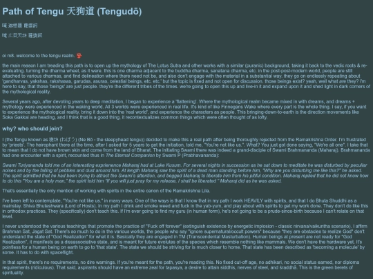 tengu screenshot