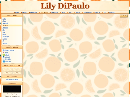 projects screenshot