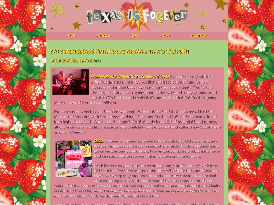 catcrash screenshot