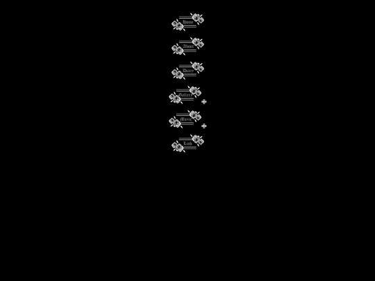 menu screenshot
