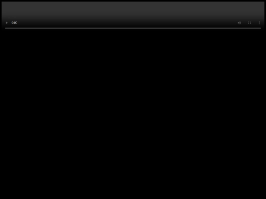 video_viewer screenshot