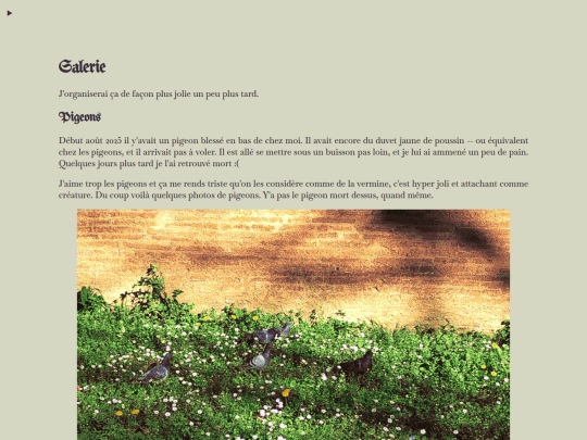 pages/galerie screenshot