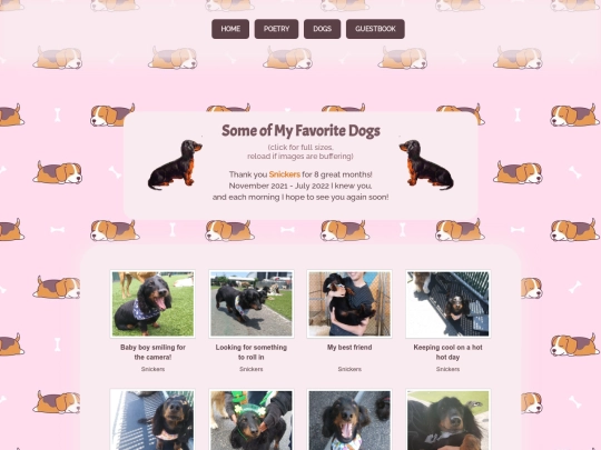 Doggies screenshot