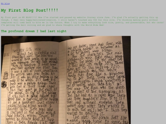 blog/novTwelfth2024 screenshot