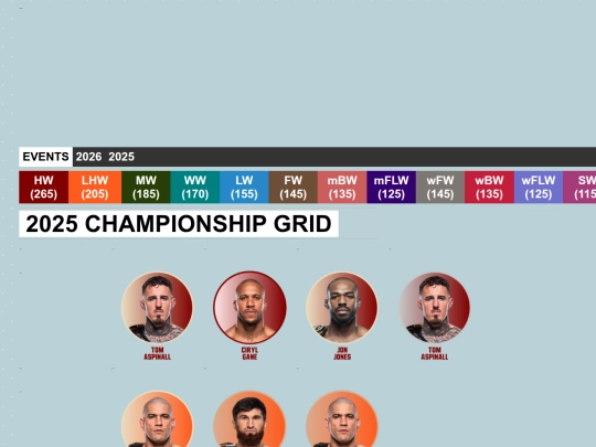 MMA RATINGS/2025 screenshot