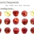 The web site of proof-of-penny avatar