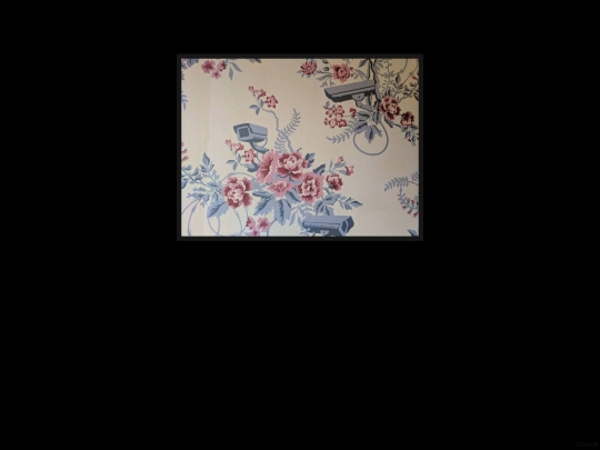 delusion/delusion034 screenshot