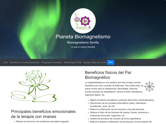 Web Biomagnetismo/Beneficios screenshot