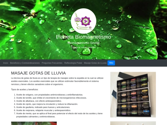 Web Biomagnetismo/Masaje screenshot