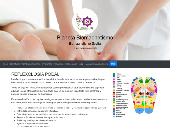 Web Biomagnetismo/Reflexología screenshot