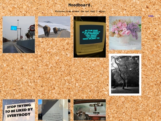 site/moodboard/mood screenshot