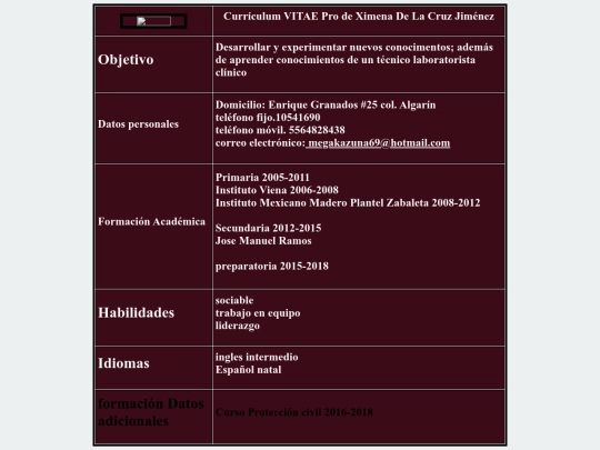 currículumvitaexime screenshot